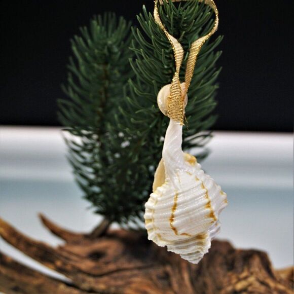Vintage Conch Seashell Christmas Ornament Ocean Nature Nautical - Picture 4 of 8